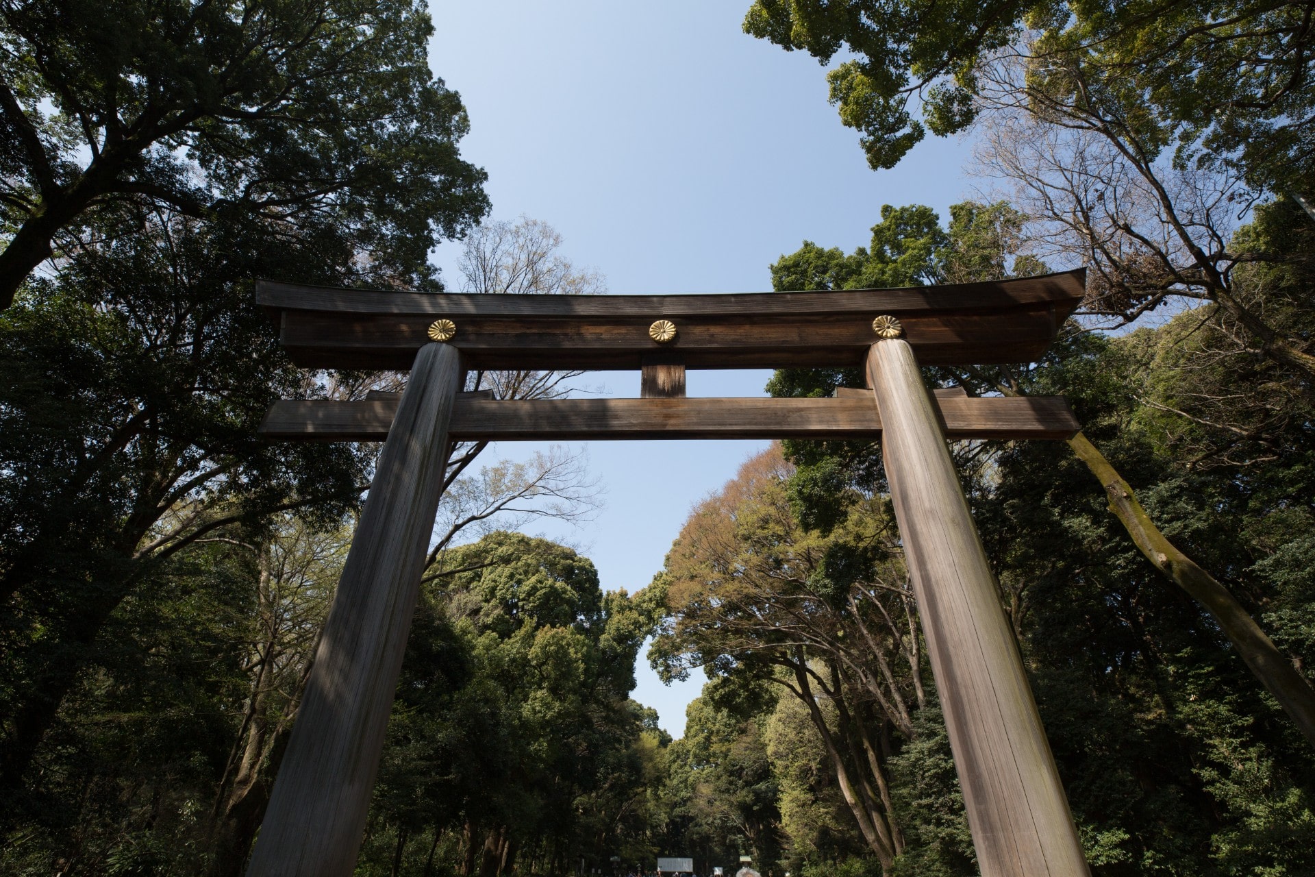 torii gate